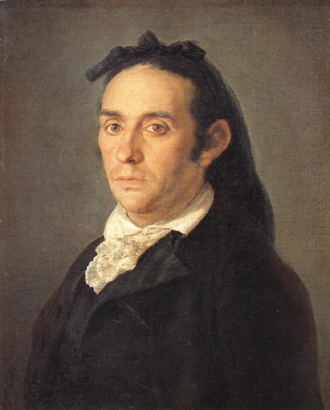 Francisco Goya Portrait of the Bullfighter Pedro Romero china oil painting image